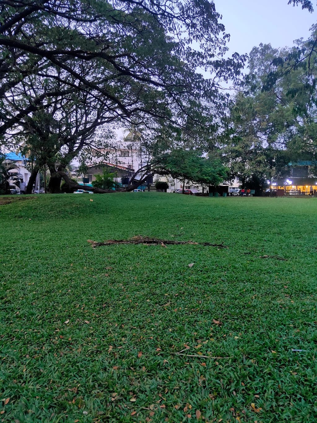 Panampilly Nagar Central Park